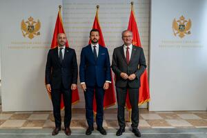 Milatović: Crna Gora ima istorijsku priliku da postane naredna...