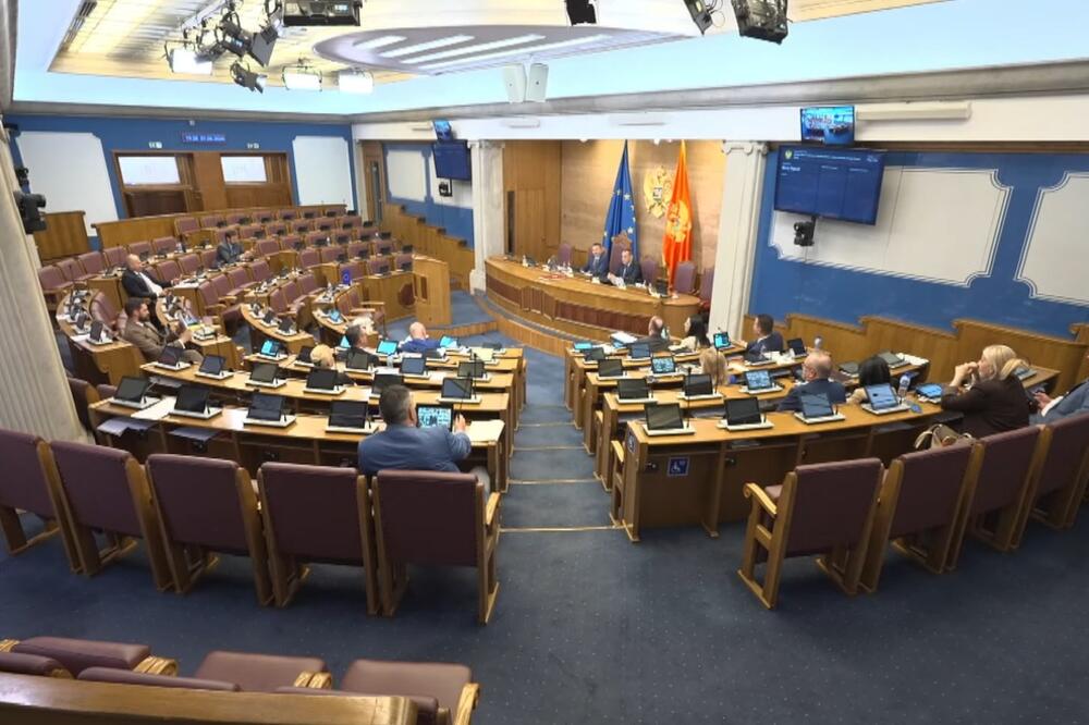 Sa sednice, Foto: Screenshot/Skupština Crne Gore