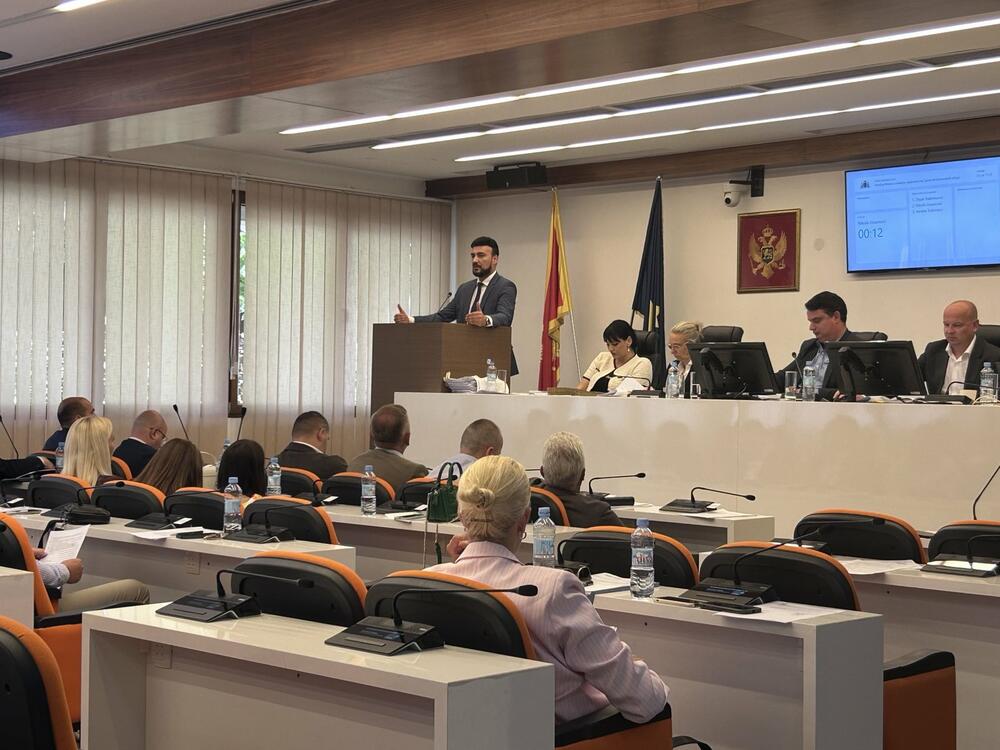 Politički cirkus: Doskorašnji saborci Rađenović sa jedne Jovanović...