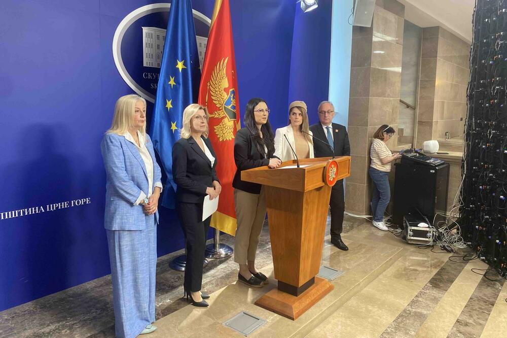 Sa konferencije za medije, Foto: Balša Rudović