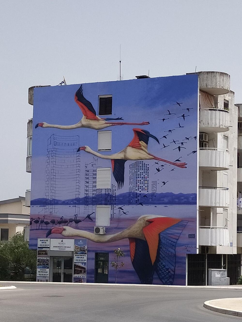 Flamingosi jedino na muralu u Ulcinju