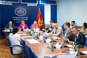 Administrativni odbor utvrdio kandidate za Savjet RTCG: Opozicija...