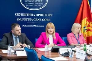 Nikolić i Vuković traže uvid u dokumentaciju dostavljenu u okviru...