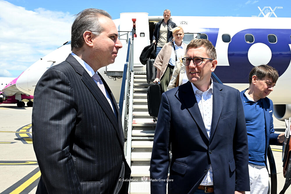 Ivanović i Mikal