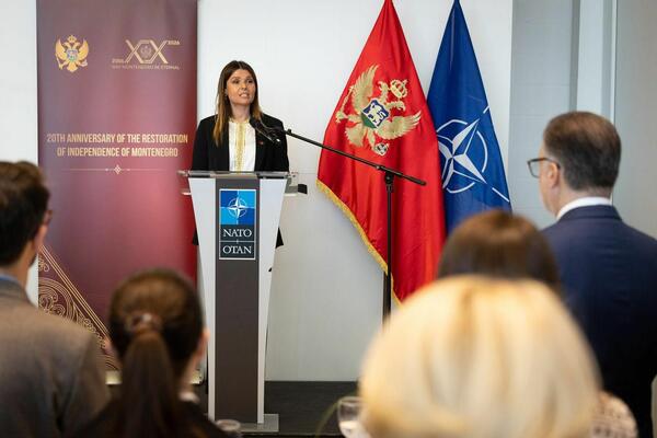 Kalezić: Članstvo u NATO ključno je dostignuće Crne Gore nakon...