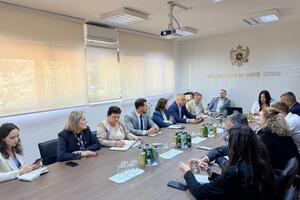 Uprava carina: Važan korak ka uspostavljanju savremene, efikasne i...