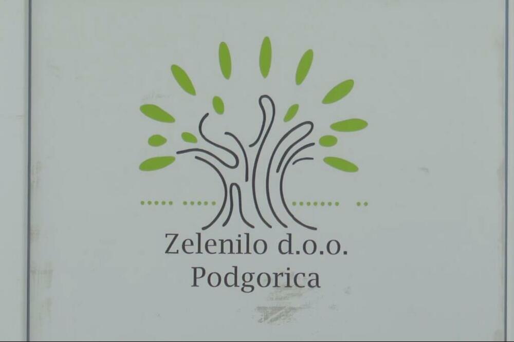 Foto: Printscreen/YouTube/TV Vijesti