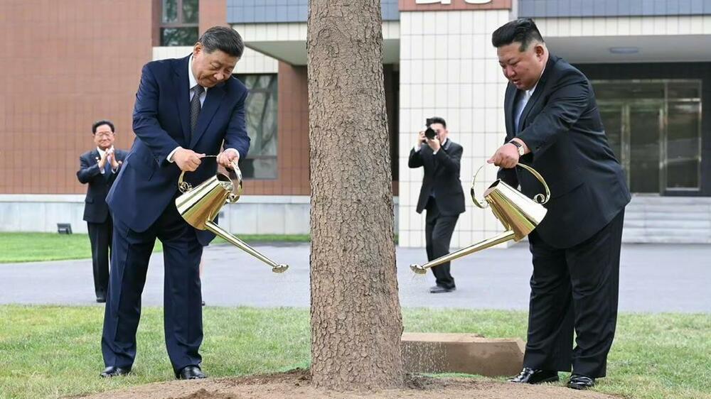 Baloni i zimzeleno drvo: Kineski i sjevernokorejski lideri..