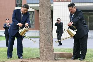Baloni i zimzeleno drvo: Kineski i sjevernokorejski lideri...