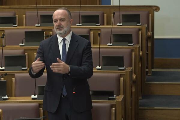 Đeljošaj: Zakon o slobodnim zonama nije trajno rješenje za šverc...