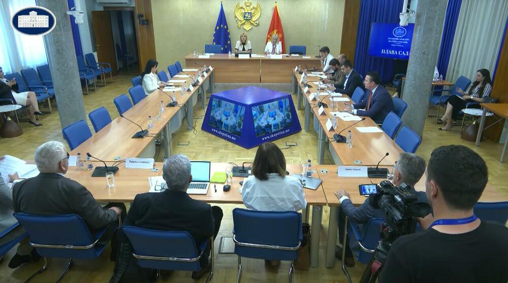 Radovanović, Drljević, Škriljej i Lacmanović predl