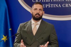 Leković: Usvojeni zakoni, veting se nastavlja