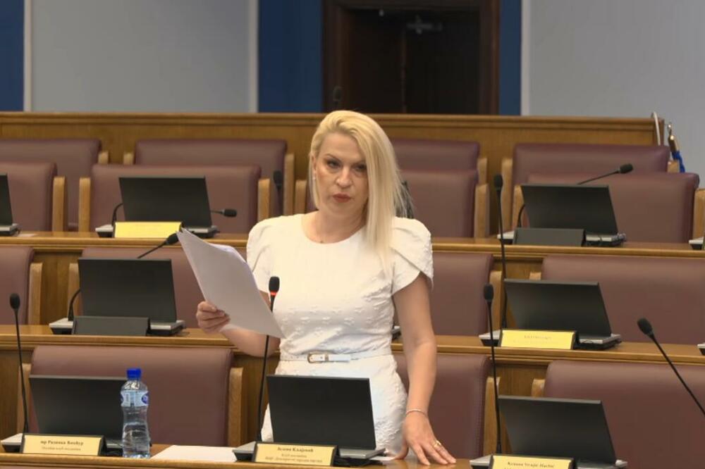 Foto: Printscreen/Youtube/Skupština Crne Gore