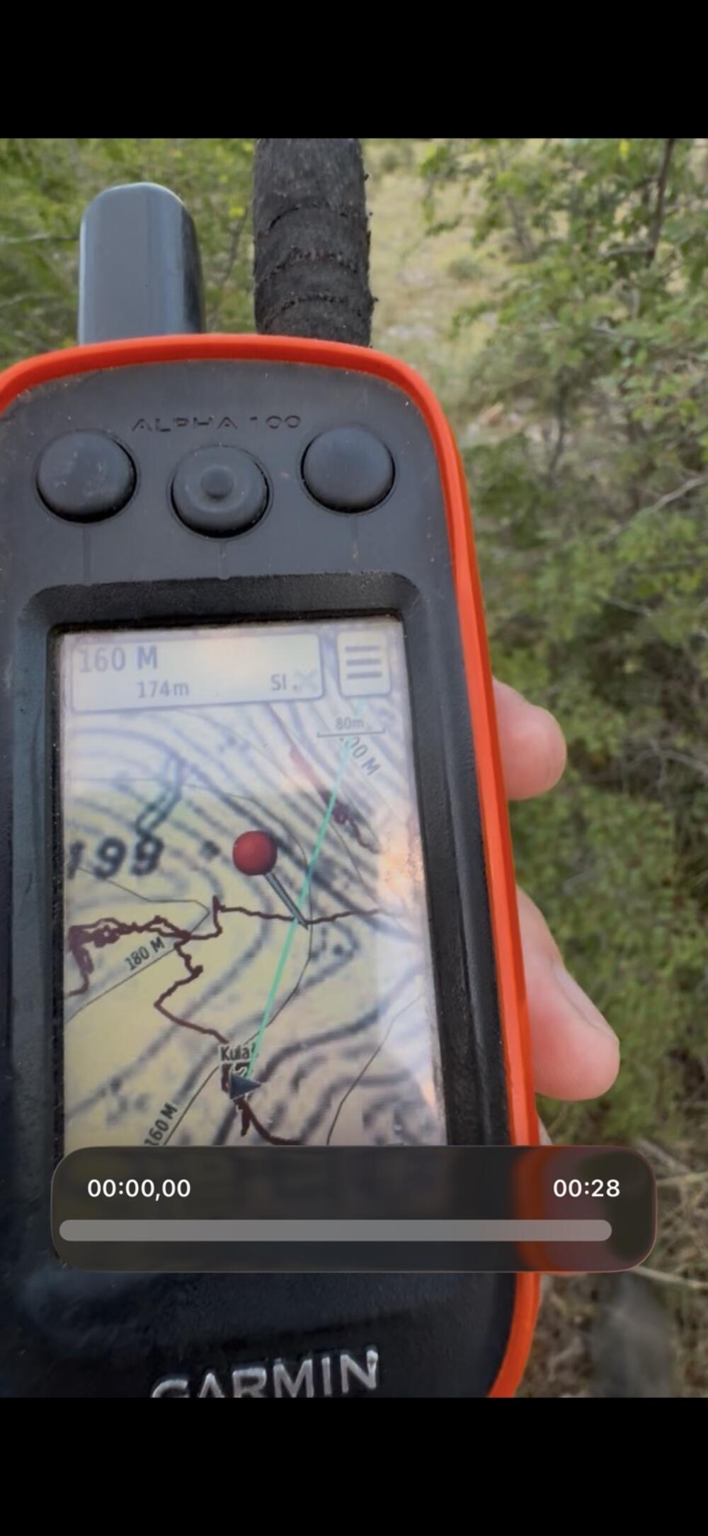 Psi su imali GPS ogrlice
