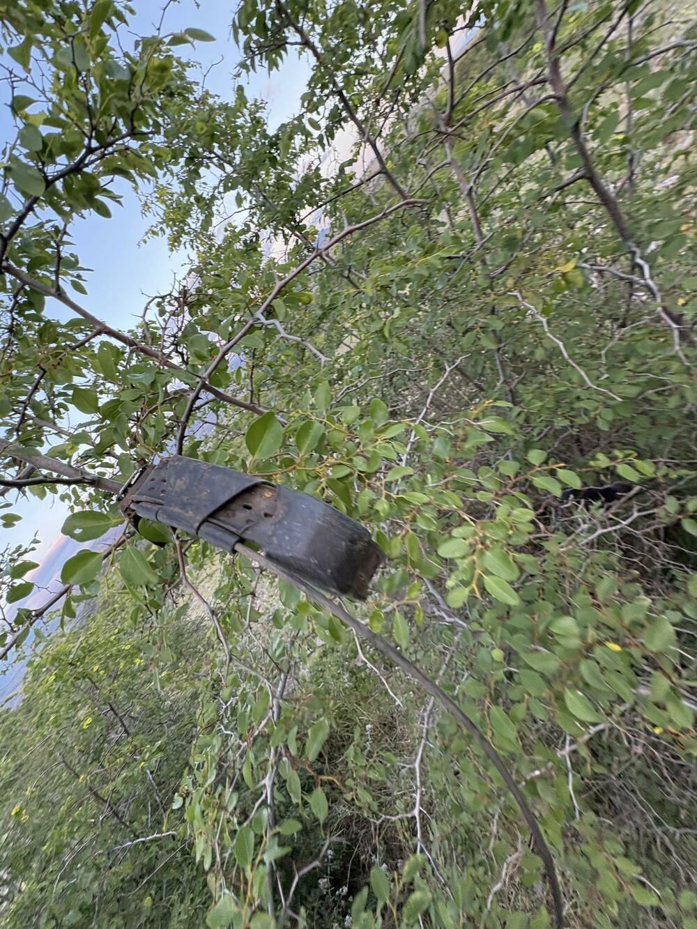 Ogrlice pasa, tvrdi vlasnik, polomljene su i bačene