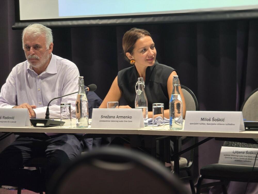 Armenko: Praksa ESLJP ukazuje na potrebu stalnog unapređenja