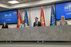 Papović: Skupština da preuzme odgovornost za svoj dio posla u...