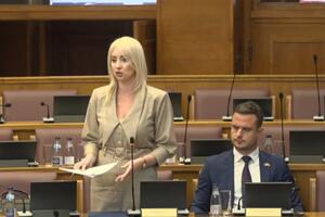 Gorčević: Nijesam zadovoljna dinamikom usvajanja amandmana na...