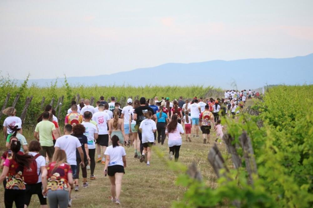 Telekom Montenegro Business Run