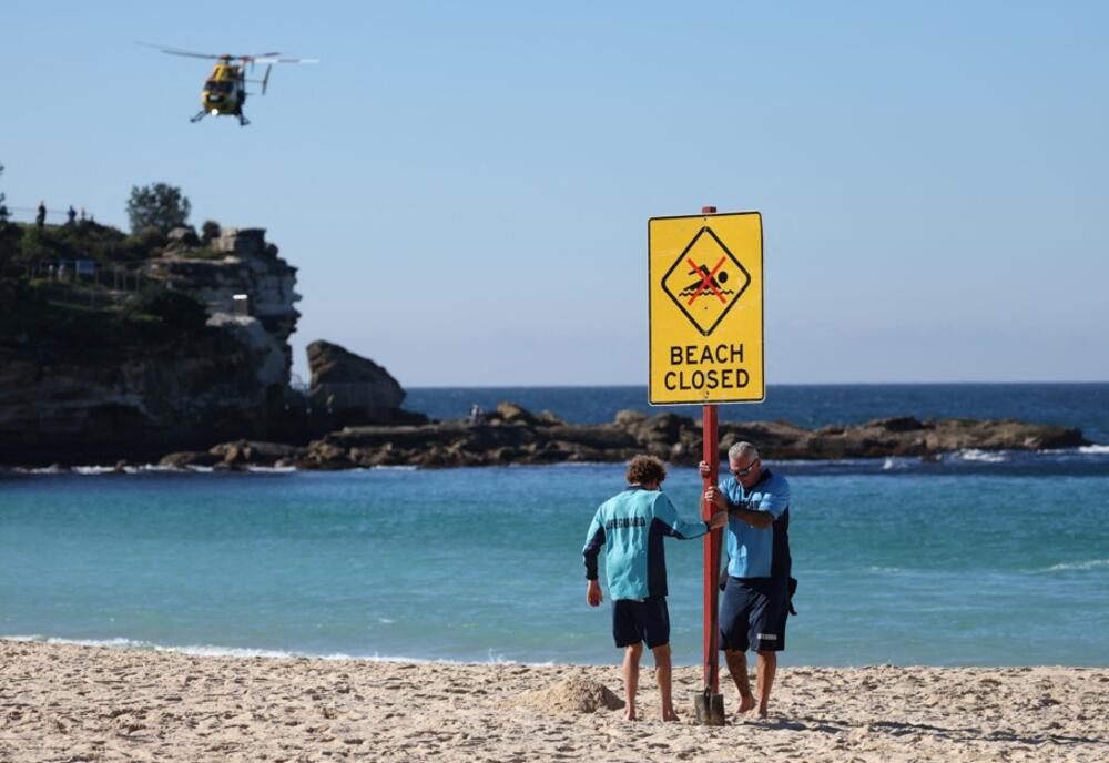 Napad bijele ajkule kod plaže u Sidneju, žena teško povrijeđena
