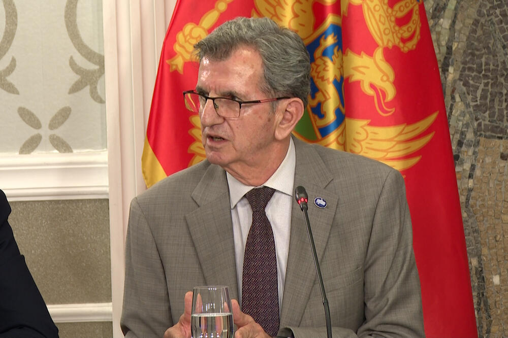 Nikola Camaj, Foto: Mediabiro