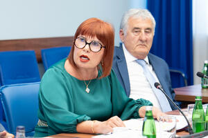 Pavličić: Vrijeme je velike buke, neki su procesi više u medijima...