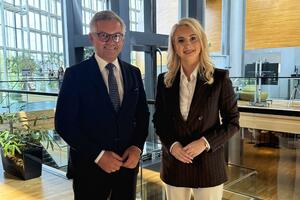 Gorčević: Crna Gora pokazuje da nijedan pojedinac i kriminalna...