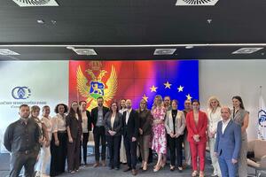 MEP: Veliki napredak Crne Gore u oblasti inovacija, ljudskih...