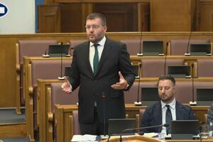 Koprivica: Vlada inicirala korišćenje svih pravnih instrumenata...