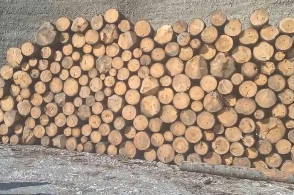 Dio zaplijenjene građe, Foto: Privatna arhiva