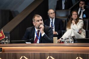 Krapović: Crna Gora je ostvarila značajne rezultate u sprovođenju...