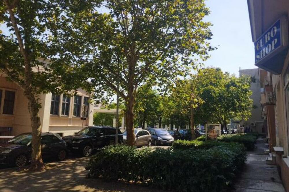 Foto: Glavni grad Podgorica