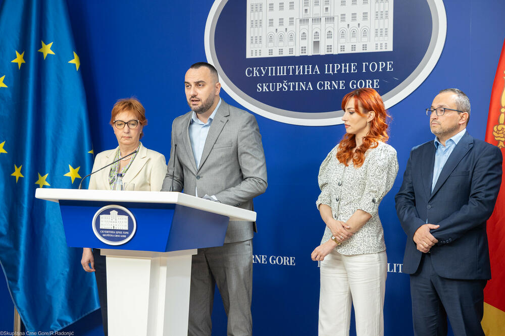 Stjepović govori na konferenciji, Foto: Demokratska Crna Gora