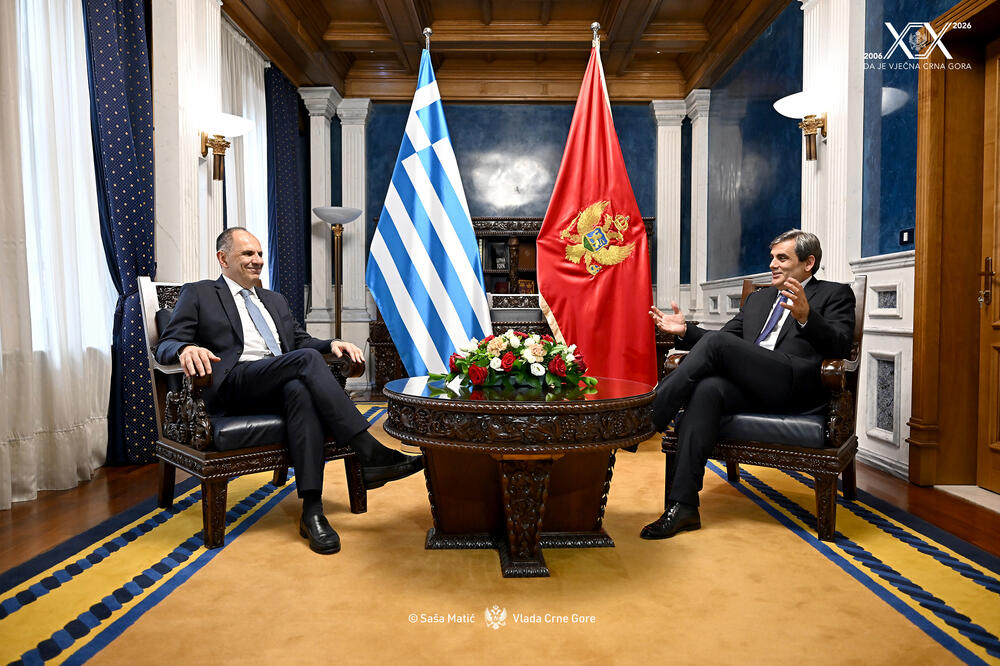 Gerapetritis i Ibrahimović, Foto: MVP