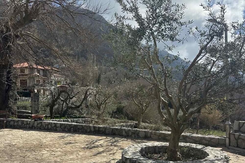 U Kuljačama još jedno suvo ljeto, Foto: Vuk Lajović