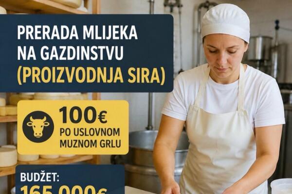 Opština Bijelo Polje uvodi podršku proizvođačima sira: 100 eura po...