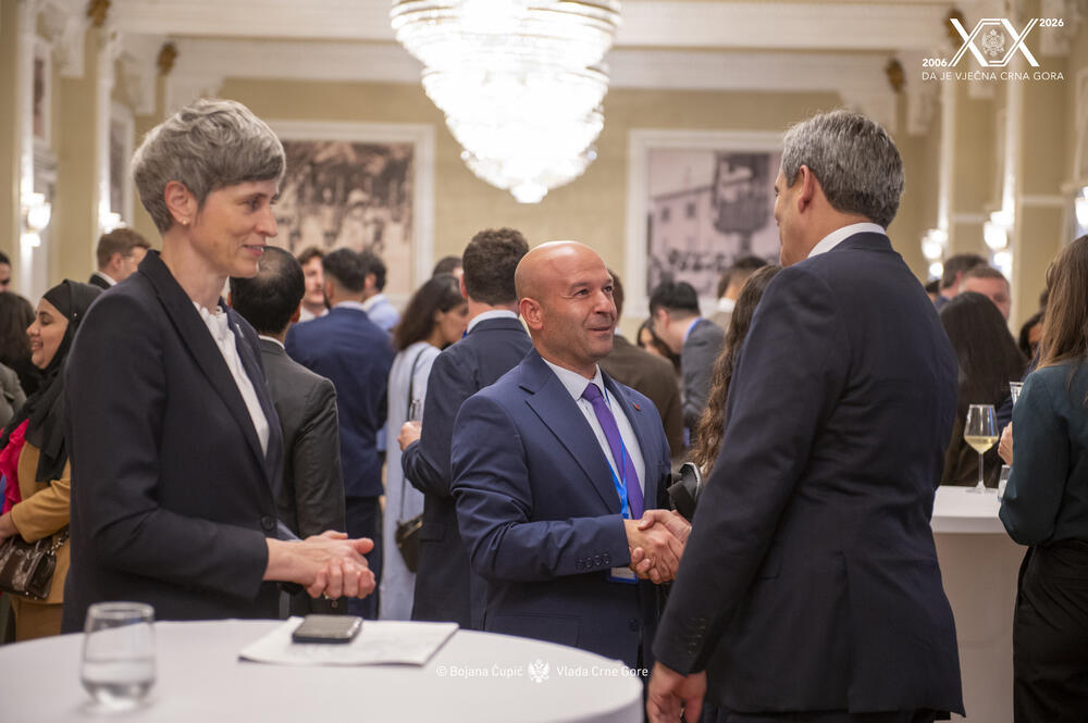 <p>"Ovogodišnja škola okupila je mlade diplomate i diplomatkinje iz 48 zemalja", piše u saopštenju Ministarstva vanjskih poslova (MVP)</p>