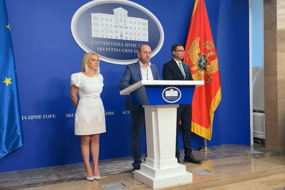 Knežević na konferenciji za medije, Foto: Printscreen