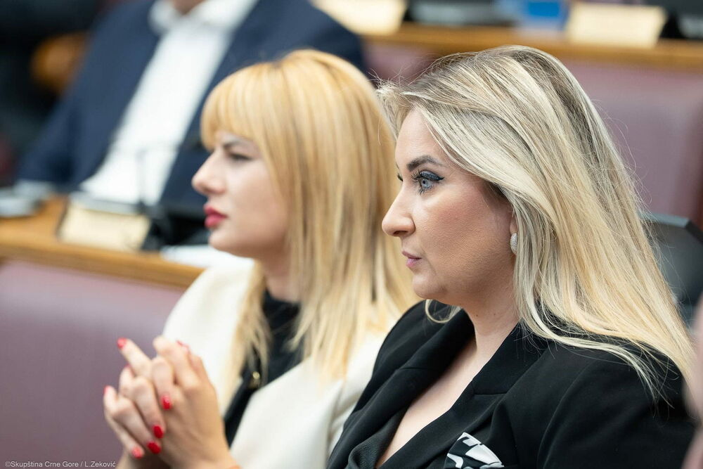 Vučelić