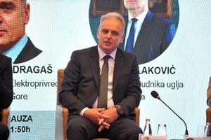 Dragaš: EPCG realizuje najdinamičniji investicioni ciklus u svojoj...