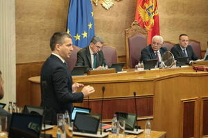 Bečić: Od sada se neće moći izdati nijedna isprava za oružje bez...