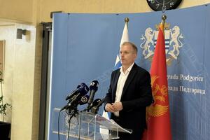 Perić: Izvještaju o radu Mujovića fali koherentnost