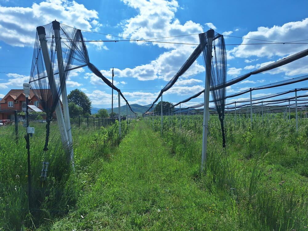 <p>Iz Ministarstva su saopštili da je nabavka, u okviru projekta koji se finansira kroz program Interreg IPA ADRION, sprovredena s ciljem unapređenja održivog upravljanja poljoprivrednim resursima i jačanja otpornosti sektora na klimatske promjene</p>