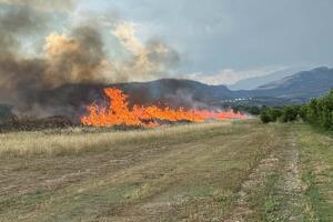Ugašen požar u krugu Plantaža u Podgorici