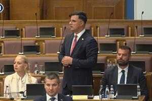 Šaranović: Mafija radi o glavi Novoviću, Šćepanoviću i Šukoviću