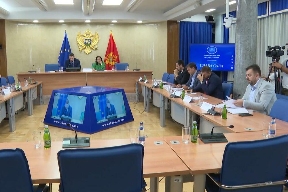 Sa sjednice Odbora za politički sistem, pravosuđe i upravu, Foto: Screenshot/TV Vijesti