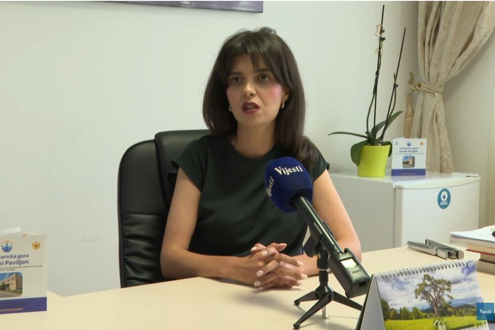 Ćorić, Foto: Screenshot/TV Vijesti