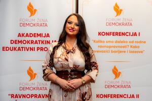 Minić: Evropski savez pokušava da galamom zamijeni odgovor na...