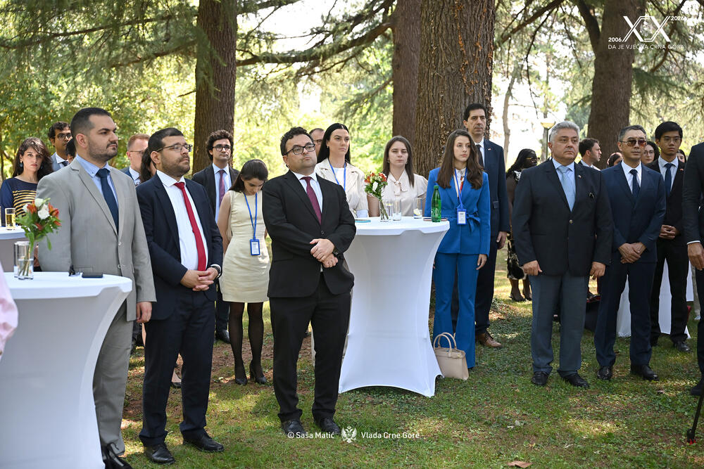 <p>Ljetnja škola "Gavro Vuković" potvrdila je, kako su istakli iz Ministarstva, status prepoznatljivog globalnog foruma koji okuplja mlade diplomate i diplomatkinje iz cijelog svijeta, pozicionirajući se kao jedan od vodećih programa ove vrste u regionu Zapadnog Balkana</p>