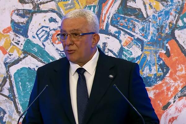 Mandić: 20 godina nakon ulaska u UN, imamo priliku da pokažemo da...